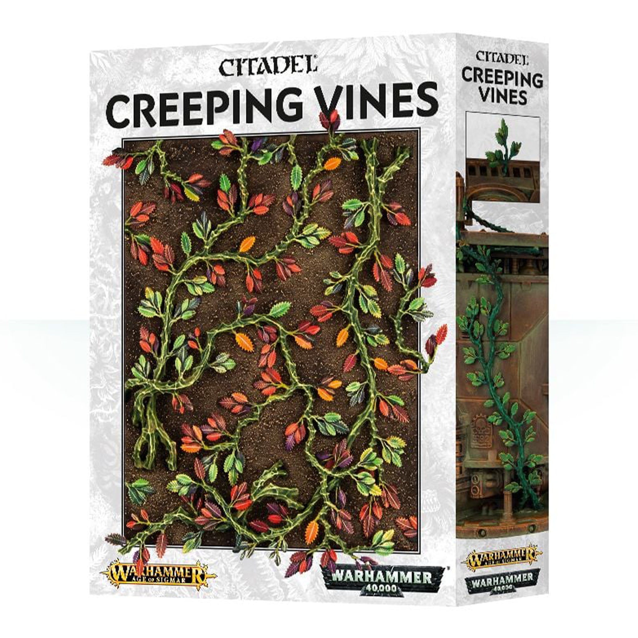 Creeping Vines