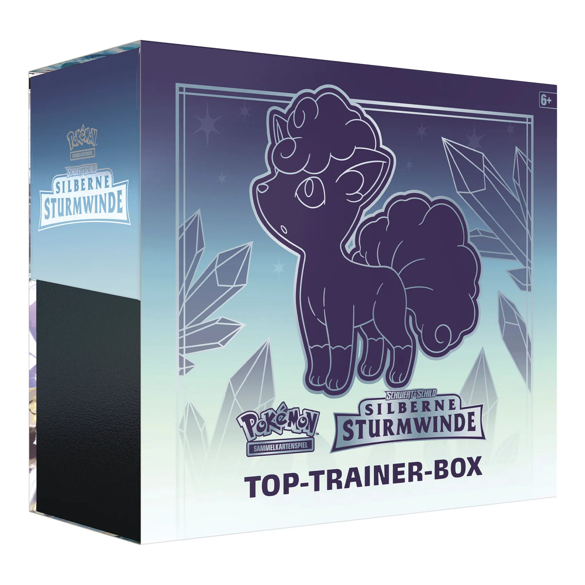 Silberne Sturmwinde Top Trainer Box - DE